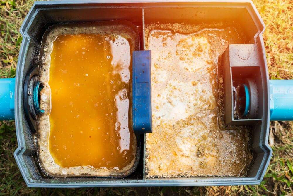 Close up of an open grease trap showing a build up of fats, oils and grease.